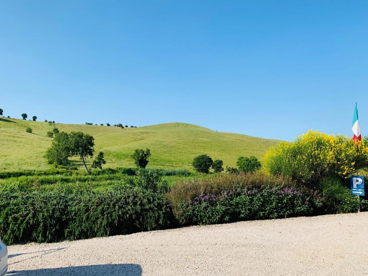 8380 Agriturismo L'Oleandro Montemerano Exterior photo